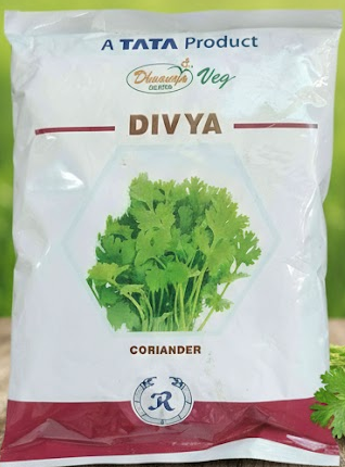 Divaya| Tata| Hybride Coriander| 500G